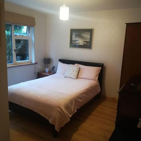 Cosy Apartment Holywood  Buitenkant foto